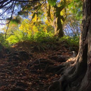 Meet your Posher, Ashleigh